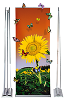 Roll Up Professional